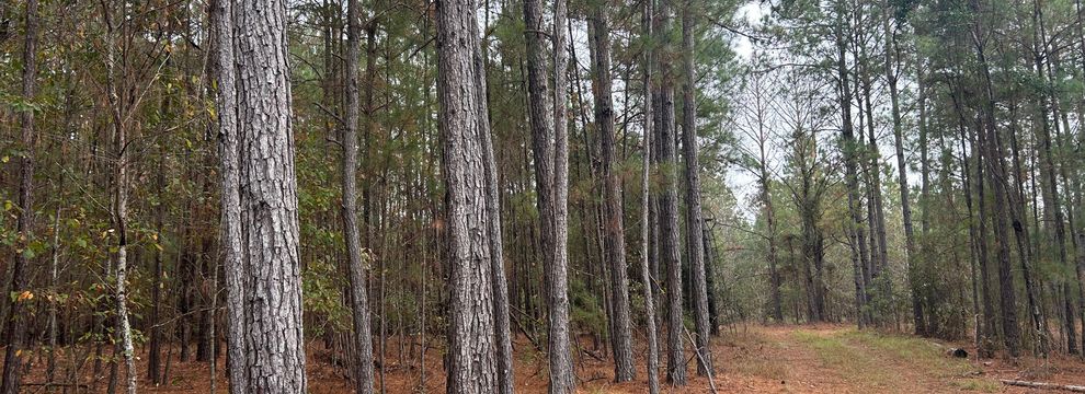 Land for sale in Horry County, South Carolina
