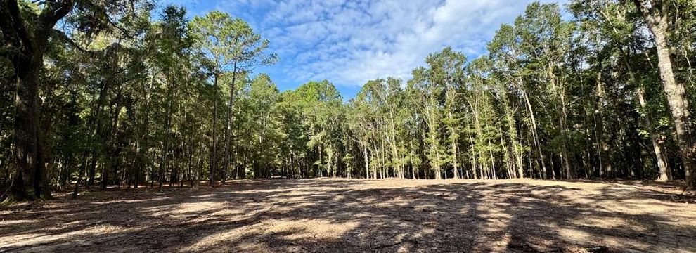 Timberland Property for sale in Jasper County, South Carolina