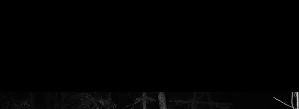 Horse Property for sale in Cross County, Arkansas