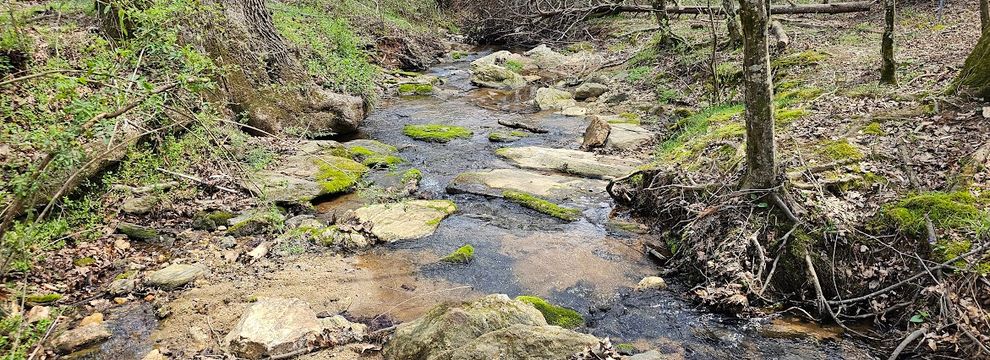 Land for sale in Wilkes County, North Carolina