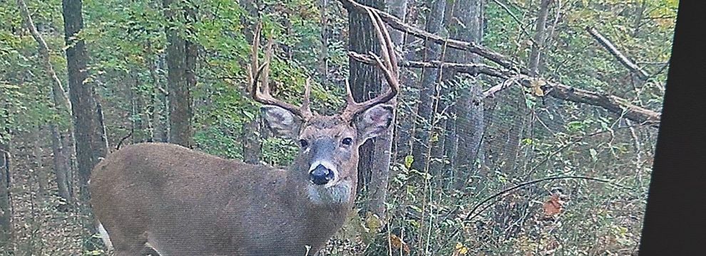 Land for sale in Pope County, Illinois