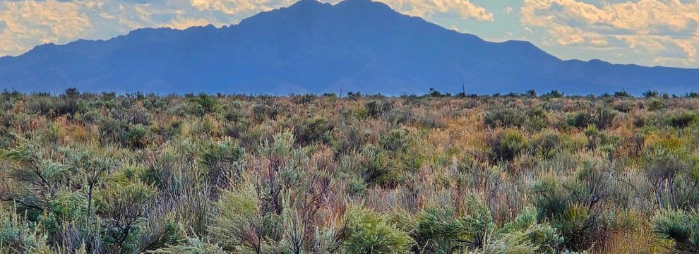 Farm and Ranch for sale in Valencia County, New Mexico