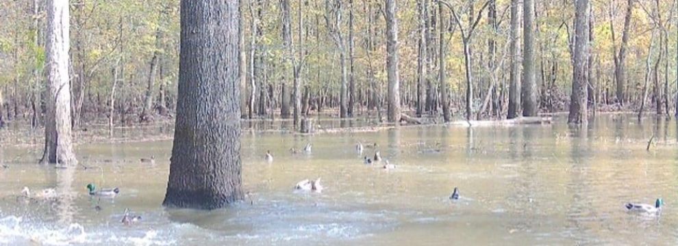 Recreational Property for sale in Monroe County, Arkansas