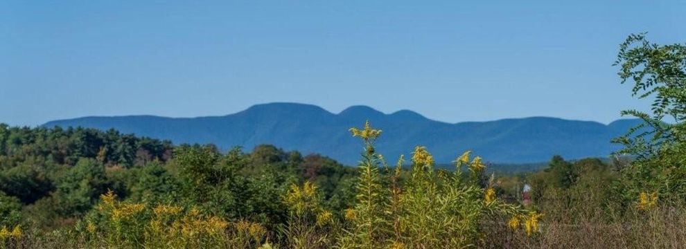 Homesite for sale in Greene County, New York