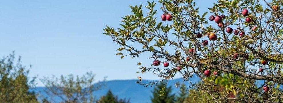 Recreational Property for sale in Greene County, New York