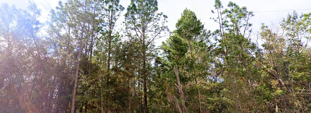 Undeveloped Land for sale in Putnam County, Florida