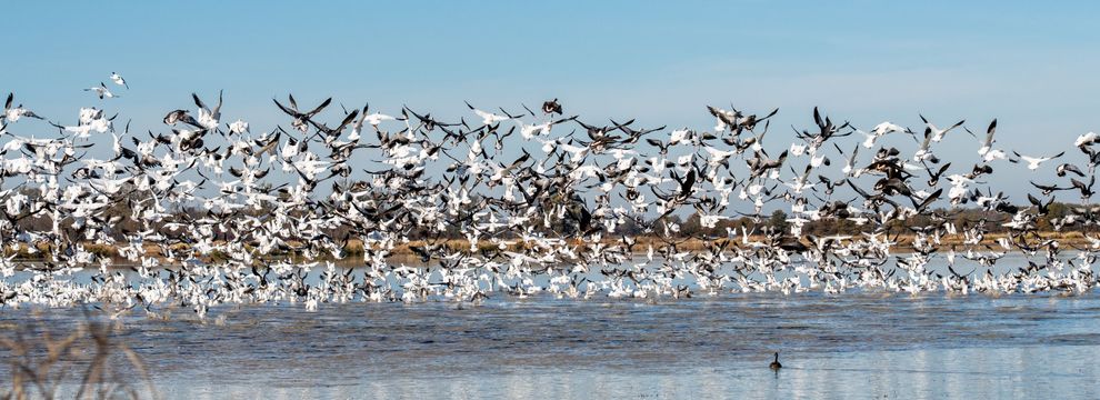 Land for sale in Prairie County, Arkansas