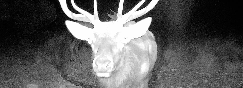 Land for sale in Edwards County, Texas