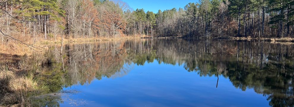 Undeveloped Land for sale in Calhoun County, Mississippi