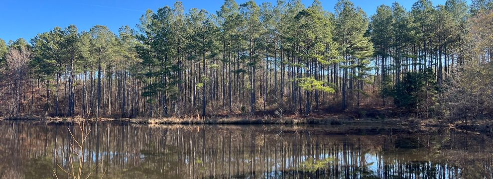 Land for sale in Calhoun County, Mississippi
