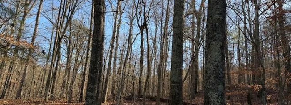 Farm and Ranch for sale in DeKalb County, Alabama
