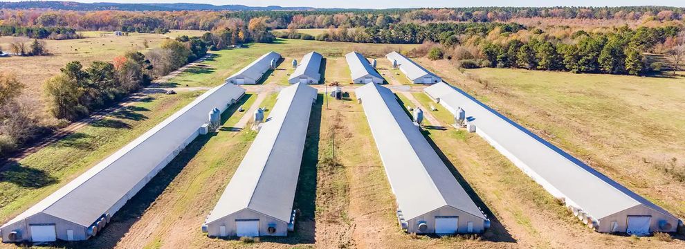 Recreational Property for sale in Shelby County, Texas