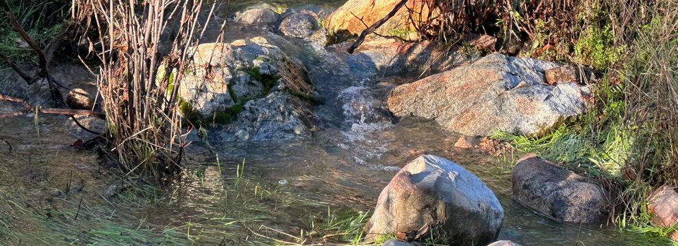 Farm and Ranch for sale in Mariposa County, California