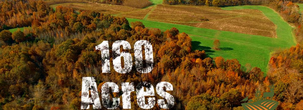 Farm and Ranch for sale in Pope County, Illinois