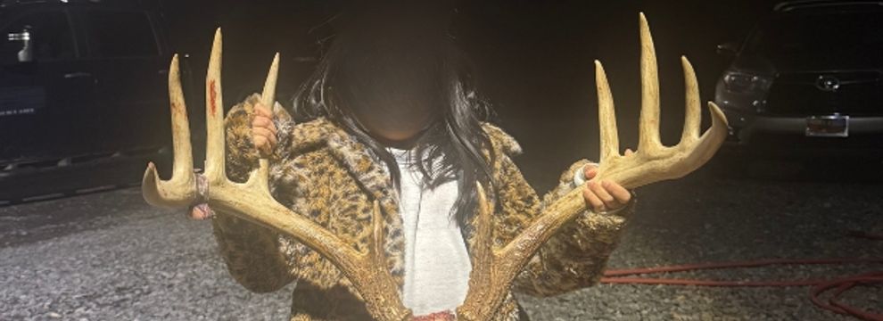 Commercial Property for sale in Pope County, Illinois