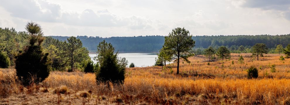 House for sale in Macon County, Georgia