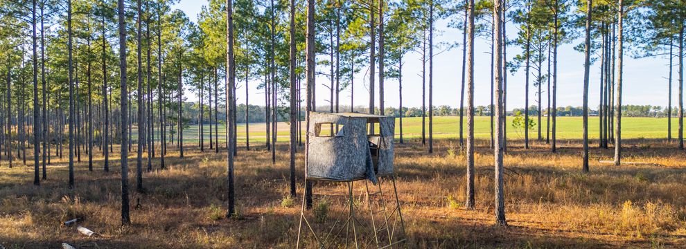 Land for sale in Lee County, Georgia
