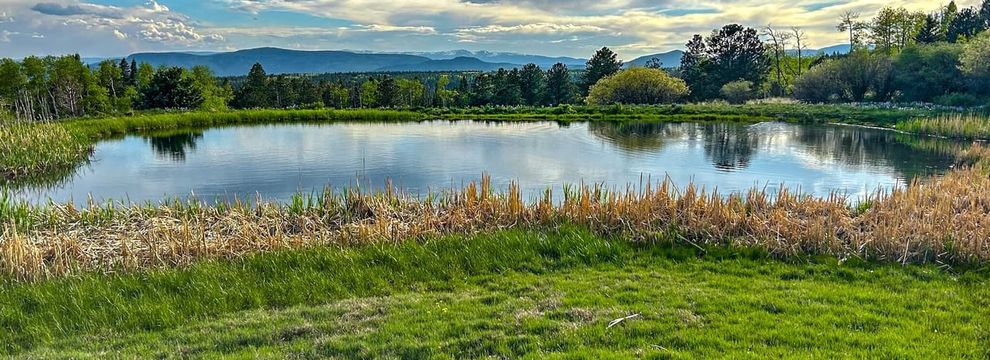 Recreational Property for sale in Colfax County, New Mexico