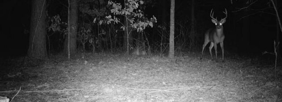 Recreational Property for sale in Calhoun County, Mississippi