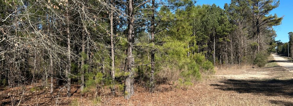 Land for sale in Darlington County, South Carolina