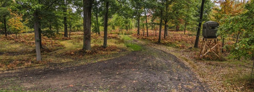 Timberland Property for sale in Arenac County, Michigan