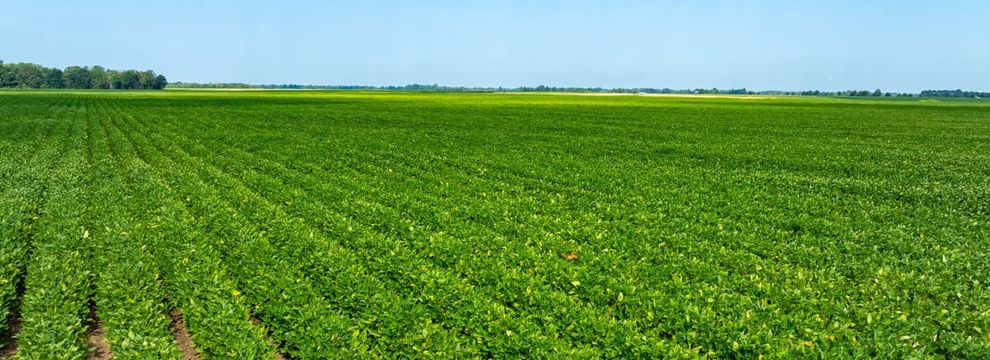 Farm and Ranch for sale in Lawrence County, Arkansas