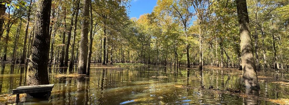 Farm and Ranch for sale in Monroe County, Arkansas