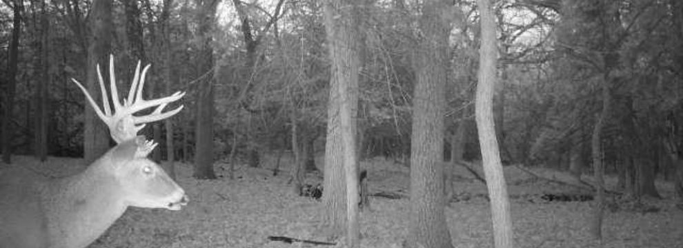 Timberland Property for sale in Pottawatomie County, Kansas