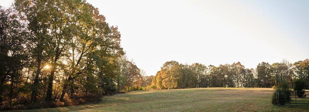 Land for sale in Williamson County, Tennessee