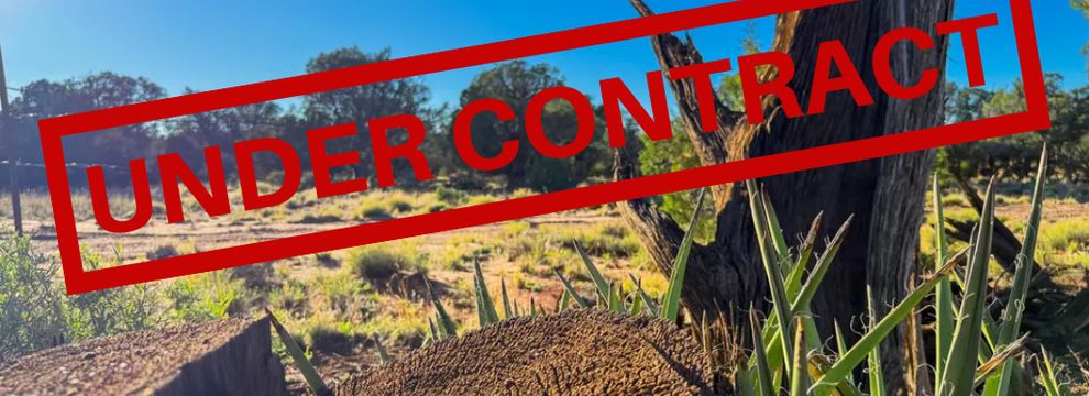 Land for sale in Navajo County, Arizona