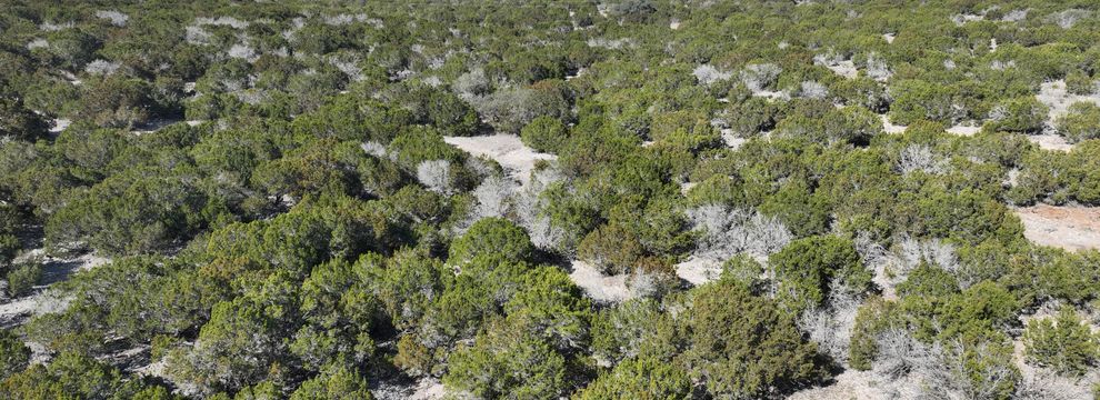 Undeveloped Land for sale in Edwards County, Texas