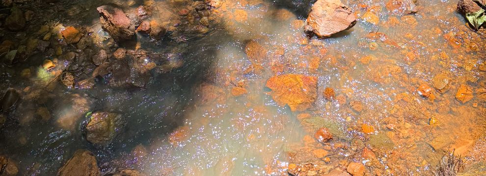 Hunting Property for sale in Houston County, Texas