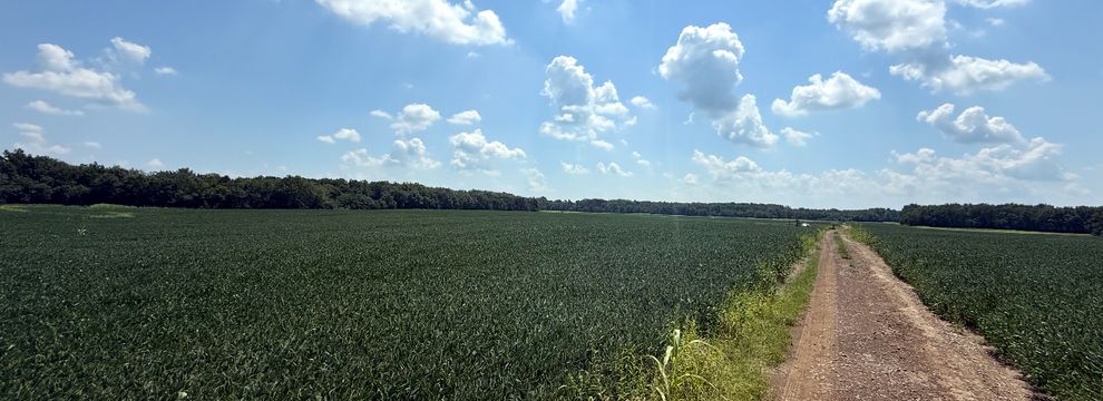 Undeveloped Land for sale in Gallatin County, Illinois