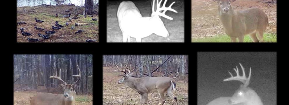 Recreational Property for sale in Madison County, Mississippi