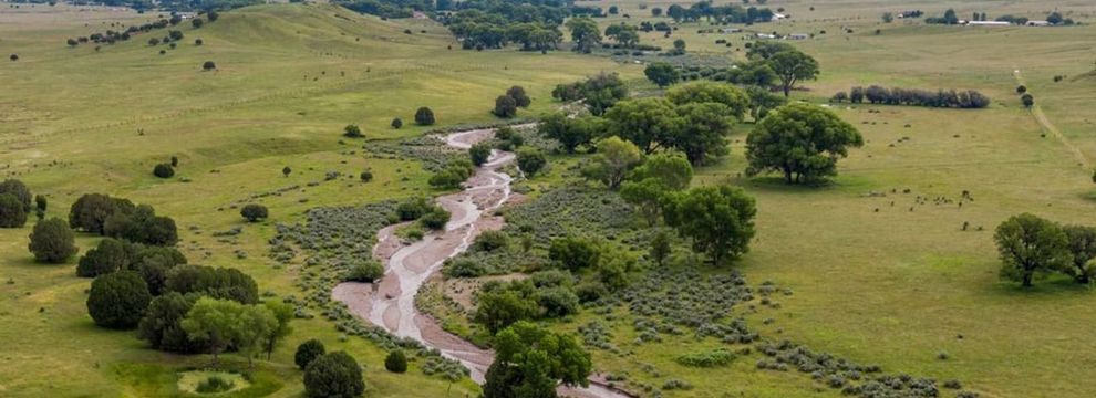 Timberland Property for sale in Grant County, New Mexico