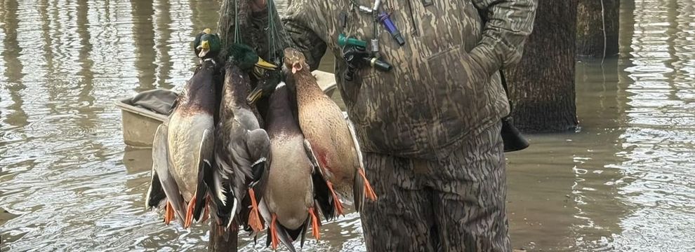 Farm and Ranch for sale in Monroe County, Arkansas