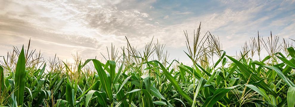 Farm and Ranch for sale in Brule County, South Dakota