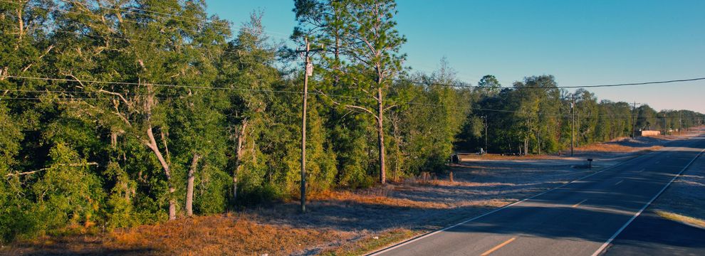 Recreational Property for sale in Levy County, Florida