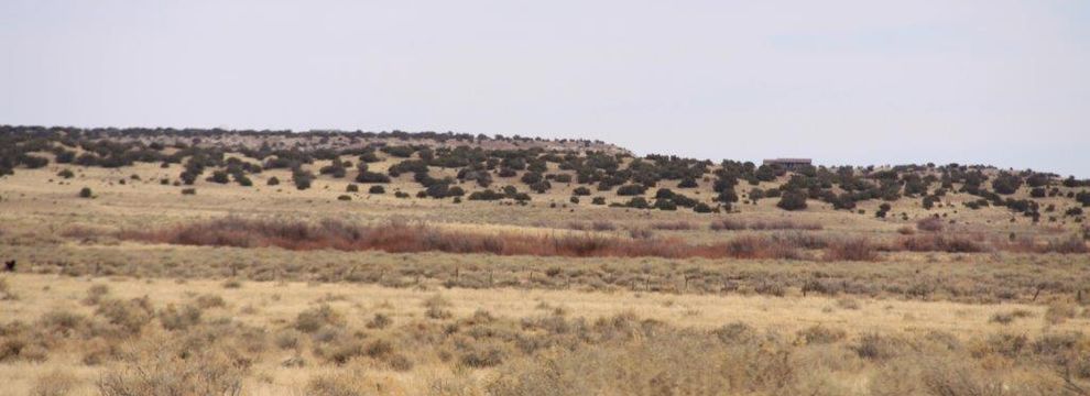 Undeveloped Land for sale in Apache County, Arizona