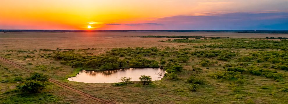 Farm and Ranch for sale in Young County, Texas