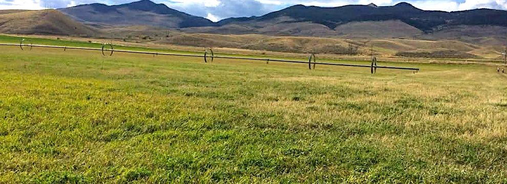 Undeveloped Land for sale in Beaverhead County, Montana