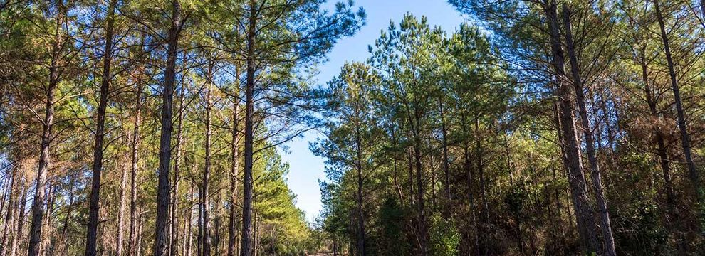 Recreational Property for sale in Jackson County, Florida