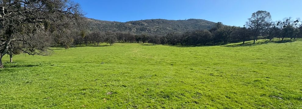 Farm and Ranch for sale in Mariposa County, California