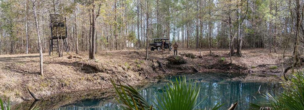 Farm and Ranch for sale in Jackson County, Florida