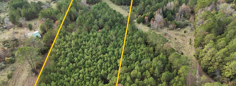 Recreational Property for sale in Polk County, Texas