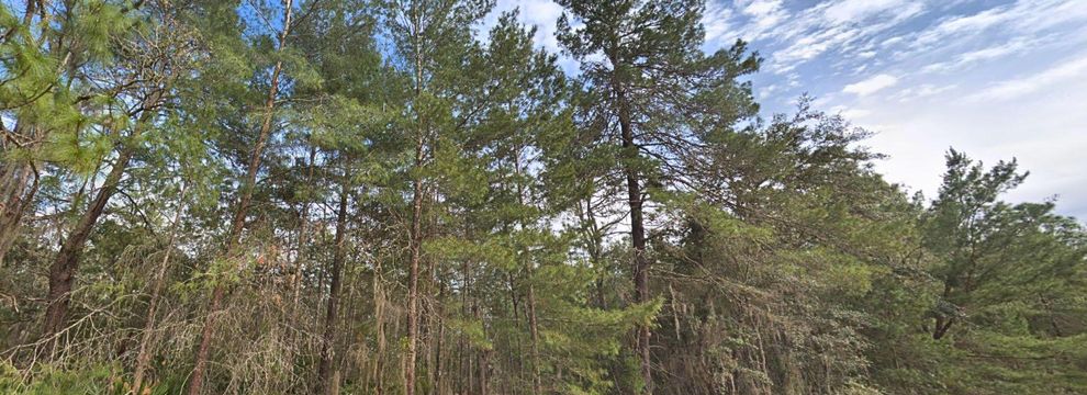 Timberland Property for sale in Putnam County, Florida