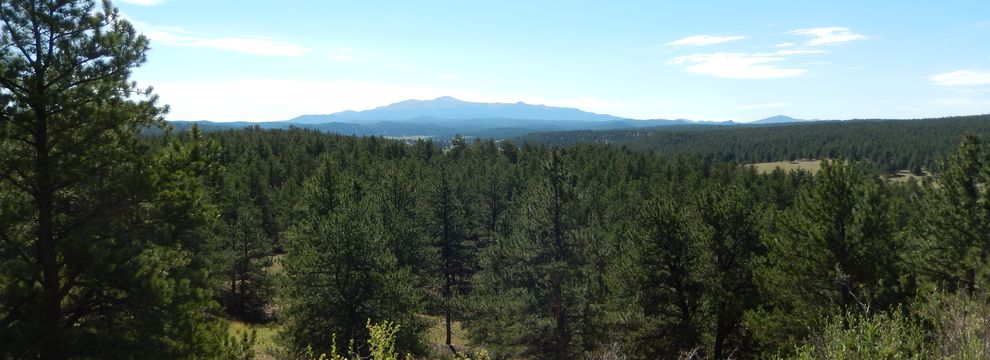 Land for sale in Park County, Colorado