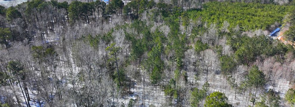 Timberland Property for sale in Westmoreland County, Virginia