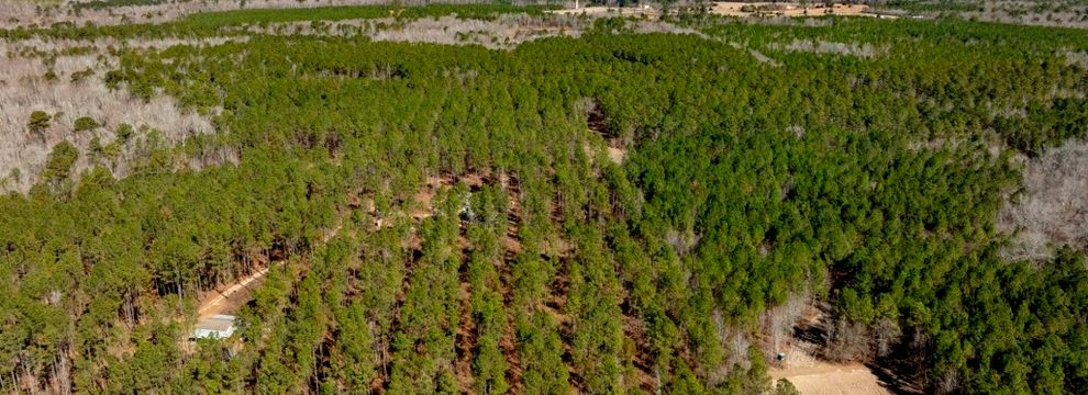 Recreational Property for sale in Jenkins County, Georgia