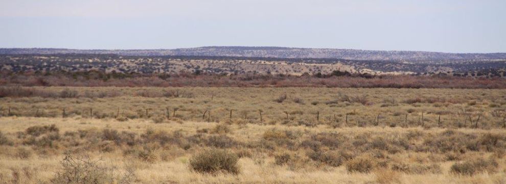 Farm and Ranch for sale in Apache County, Arizona